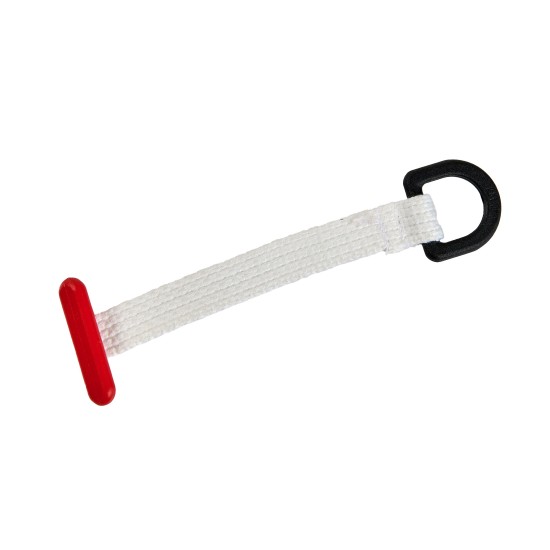 Monty simple avec anneau (24 15)