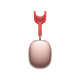 C2 Cire standard (30 11)