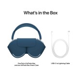 C2 Cire standard (30 11)